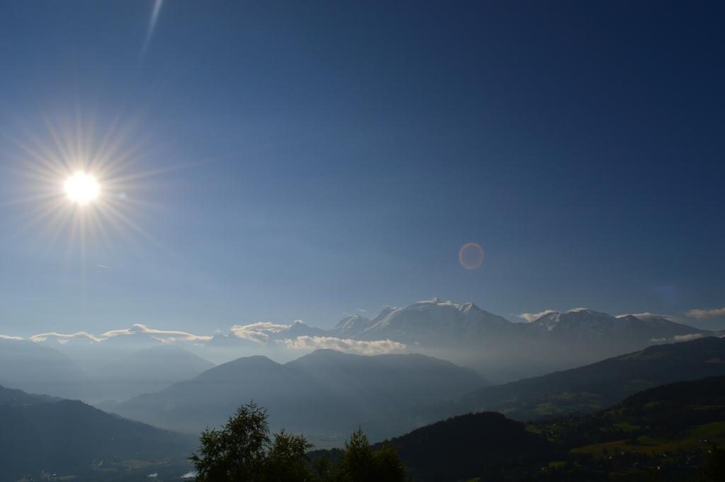 La Joubarbe Au Balcon Du Mont-Blanc Villa Sallanches Buitenkant foto