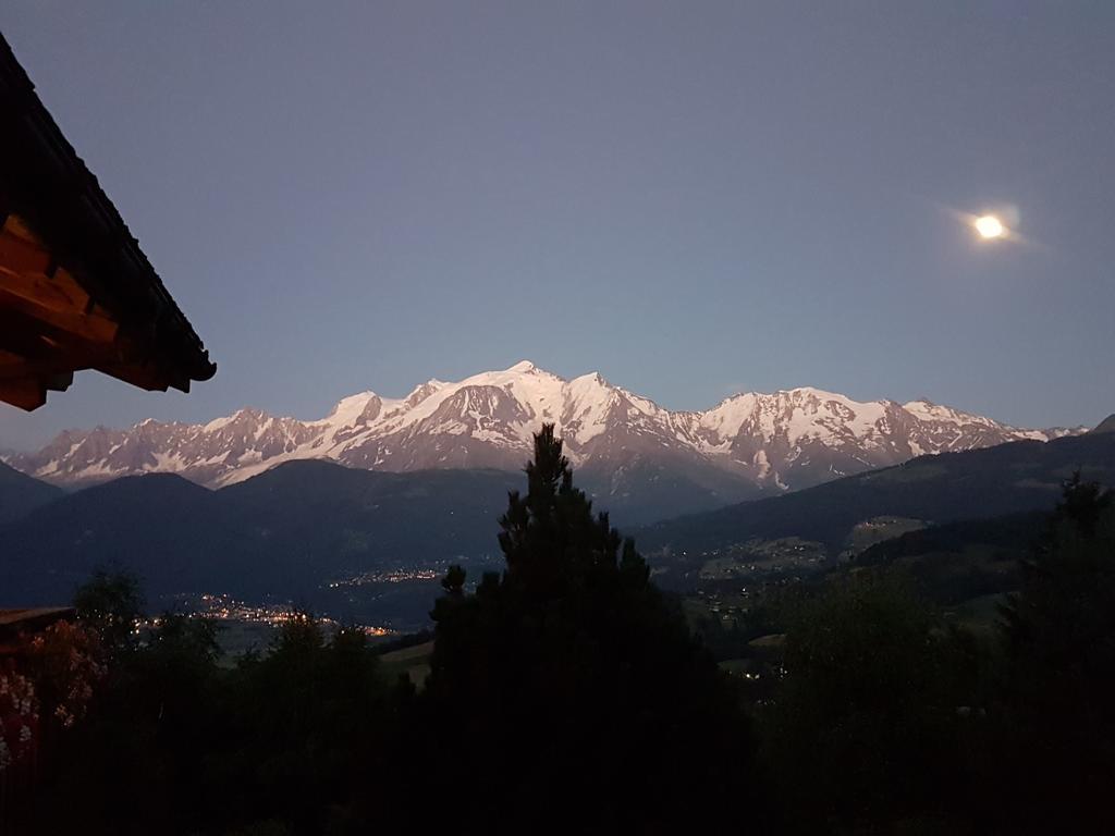 La Joubarbe Au Balcon Du Mont-Blanc Villa Sallanches Buitenkant foto